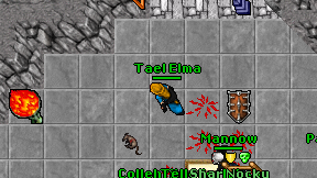 Tael Elma on screen