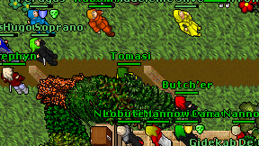 Tomasi on screen