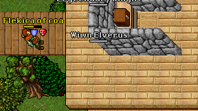 Wiwn Elverus on screen
