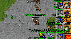 Valde Soldita on screen