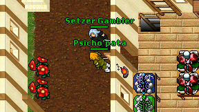 Psicho'pata on screen
