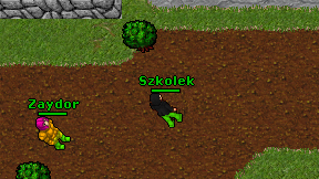 Szkolek on screen