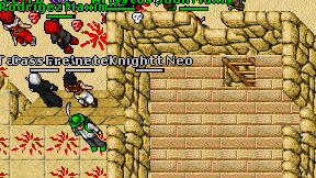 Knightt Neo on screen