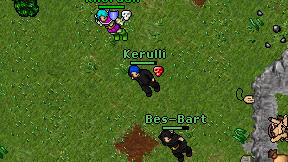 Kerulli on screen
