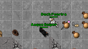 Aaqua Sniper on screen
