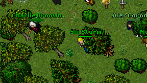 Sin Storm on screen