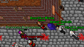 Anetka Wisla on screen