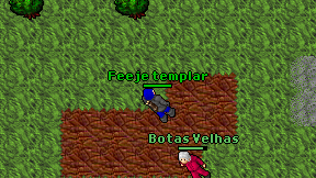 Feeje templar on screen