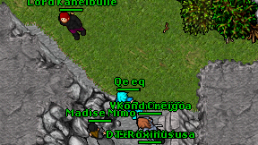 Qe eq on screen