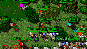 Aregh on screen