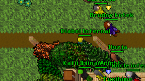 Diabel Infernal on screen