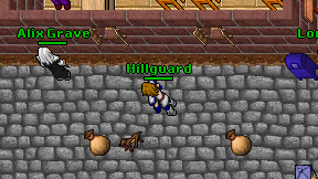 Hillguard on screen