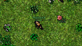 Moixet on screen