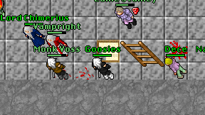 Goosies on screen