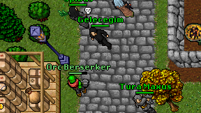 Gelecegim on screen