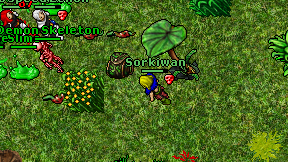 Sorkiwan on screen