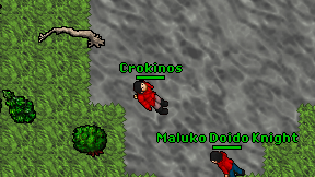 Crokinos on screen