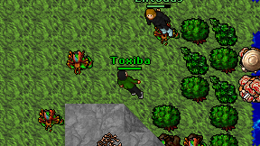 Toxiba on screen