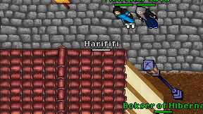 Harififi on screen