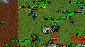 Davidwdg on screen