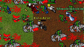 Kiro Arie on screen