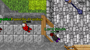 Pawello druidus on screen