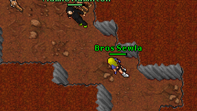 Bros Sewla on screen