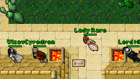 Lady Rare on screen
