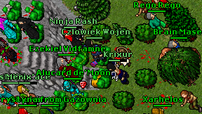 Ninja Rash on screen