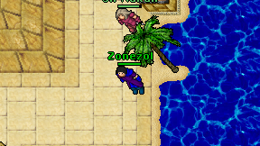Zonezol on screen