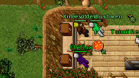 Flyflax on screen