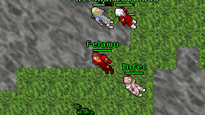 Felamu on screen