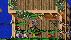 Femins Nova on screen