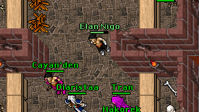 Elan Nigo on screen