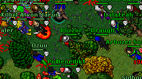 Blizzor on screen