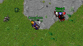 Anumon on screen