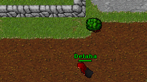Delaha on screen