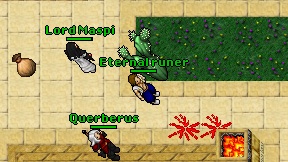 Eternal runer on screen