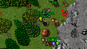 Inha Wrath on screen