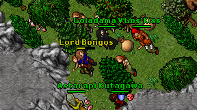 Lord Bongos on screen