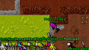 Marcerdes on screen