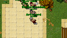 Arka Lord on screen