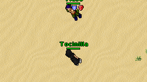 Tocinilla on screen