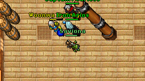 Saviona on screen