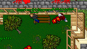 Hunter Of Slayers on screen