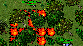 Bahamute on screen
