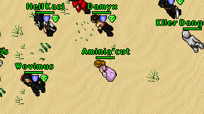 Aminia'cut on screen