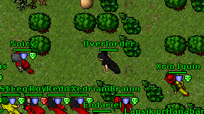 Overlorder on screen