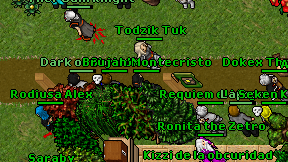 Skrisok on screen
