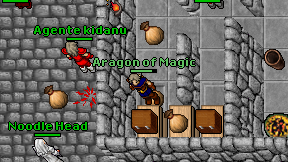 Aragon of Magic on screen